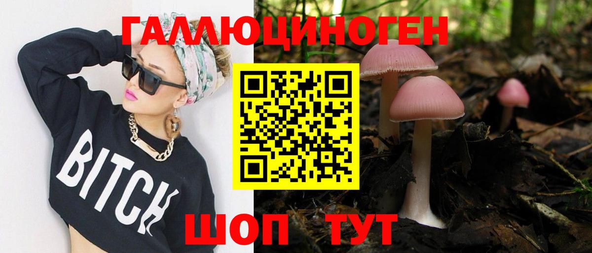 Курчалой  Галлюциногенные грибы Psilocybe  Псилоцибиновые грибы Cubensis  Вход с VPN 
